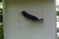 DSC02300-Kopie